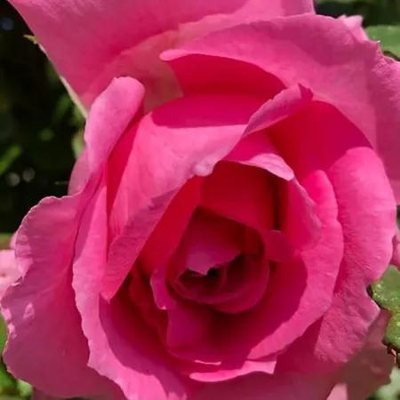 Apartmenthaus Schlosspark شقة *